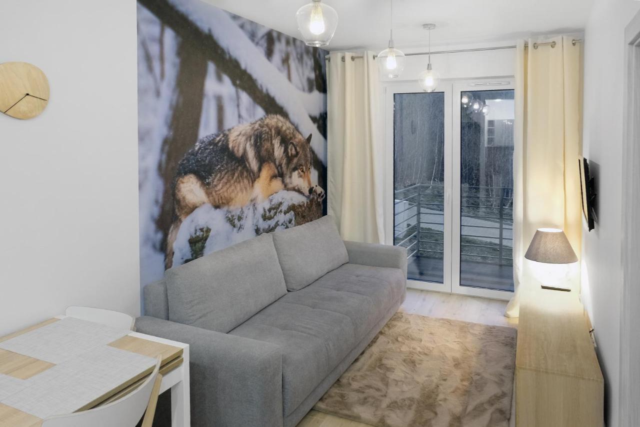 Apartament Szary Wilk Swieradow-Zdroj Exterior photo